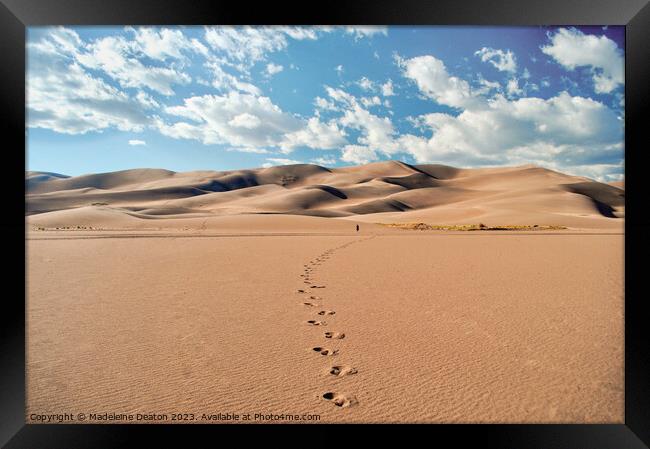 Desert Footprints Framed Print by Madeleine Deaton