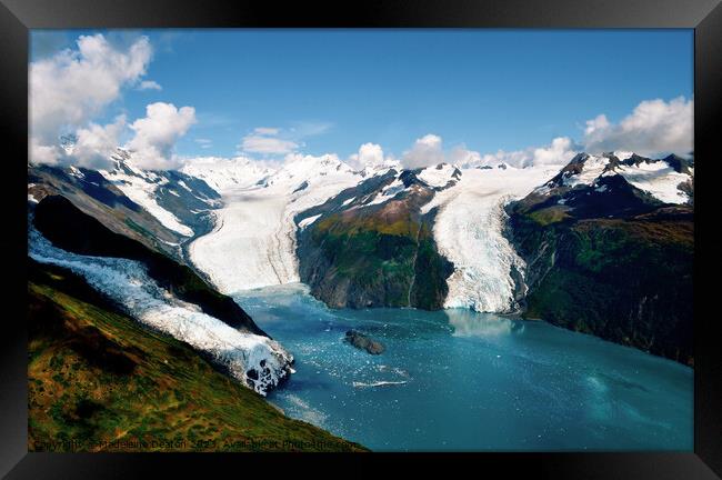 Aerial shot of three glaciers calving into Prince William Sound Framed Print by Madeleine Deaton