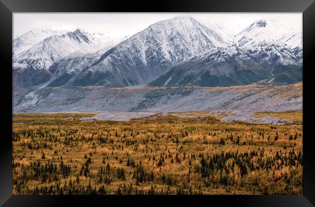 Alaska in Autumn Framed Print by Madeleine Deaton
