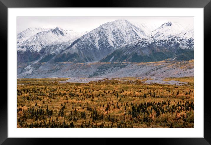 Alaska in Autumn Framed Mounted Print by Madeleine Deaton