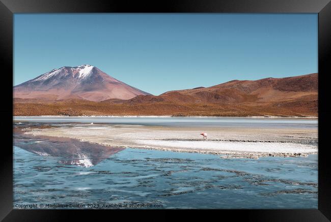 Bolivian Volcano Reflections  Framed Print by Madeleine Deaton