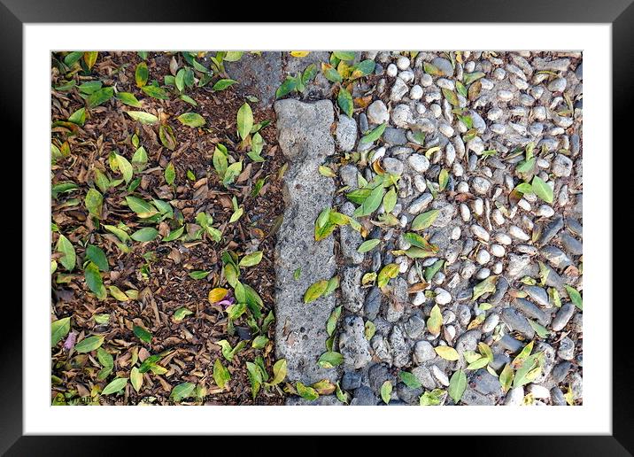 Leaves and cobbles, Kos Framed Mounted Print by Paul Boizot