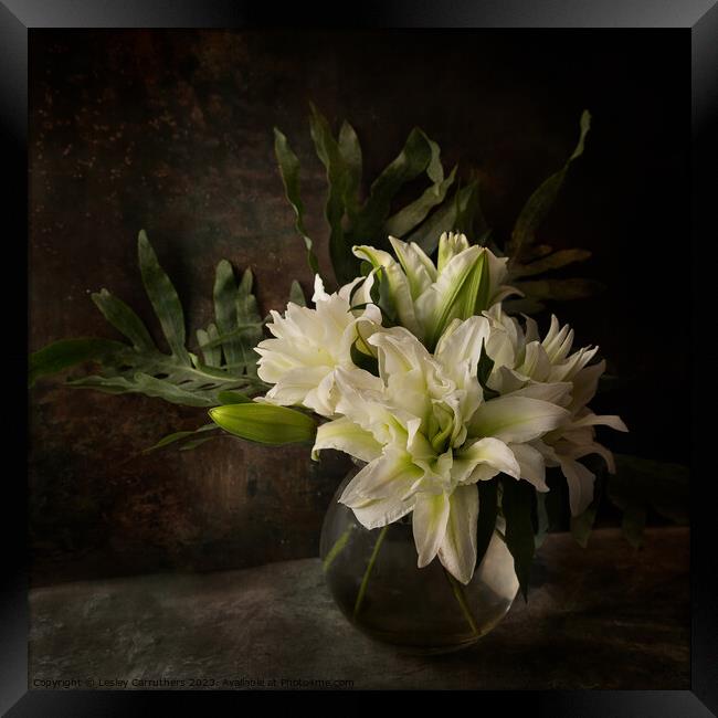 White lilies, Still life Framed Print by Lesley Carruthers