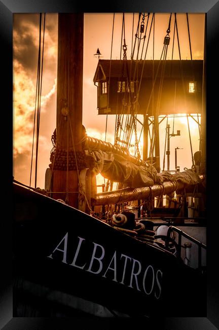 The Albatros  Framed Print by Bryn Ditheridge