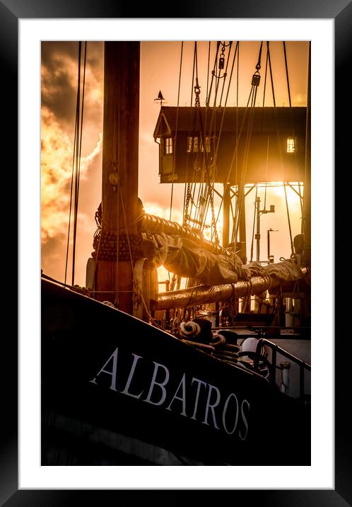 The Albatros  Framed Mounted Print by Bryn Ditheridge