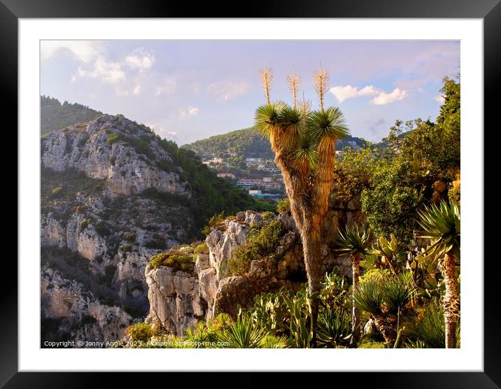 tall cactus and mountains  Framed Mounted Print by Jonny Angle