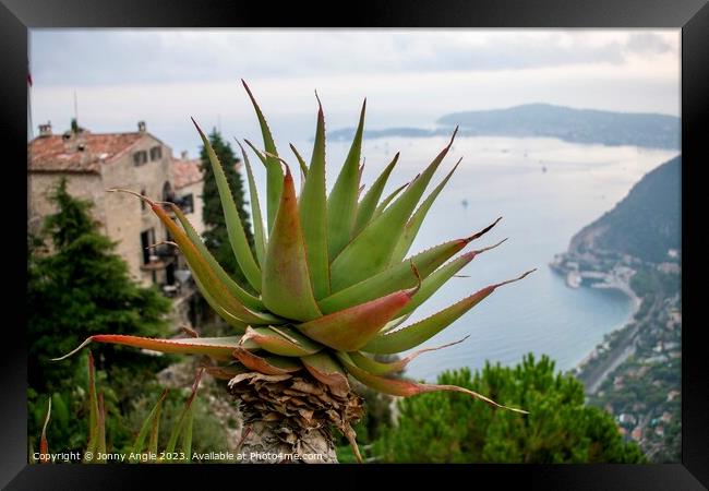 Cactus on French Rivera  Framed Print by Jonny Angle