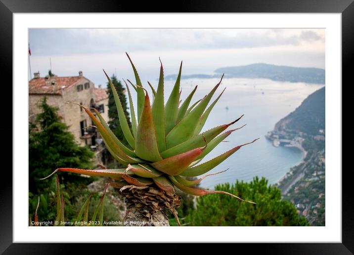 Cactus on French Rivera  Framed Mounted Print by Jonny Angle