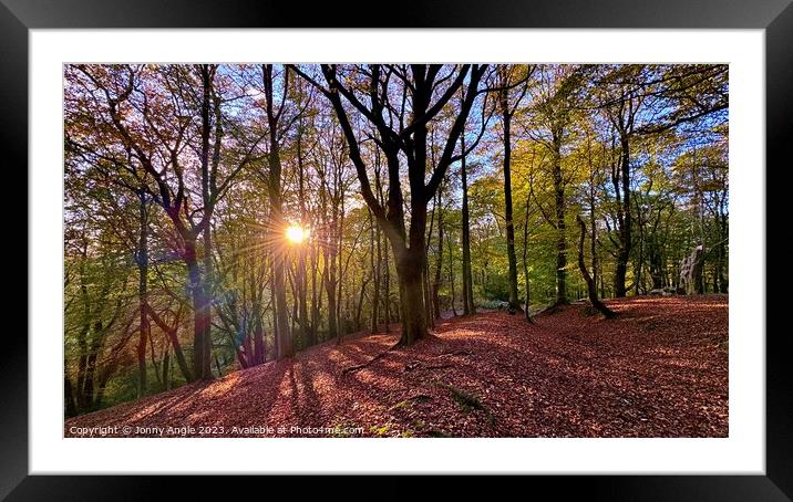 Wenallt woods sunset  Framed Mounted Print by Jonny Angle