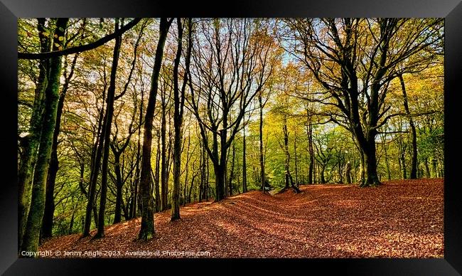 Deciduous sunset  Framed Print by Jonny Angle