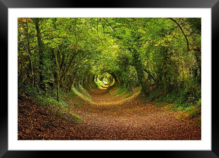 Halnaker Tunnel South Downs Framed Mounted Print by Alan Humphries