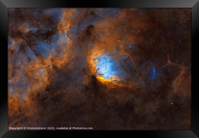 The Tulip nebula and the Cygnus X1 black hole Bow Shock Framed Print by Emil Andronic