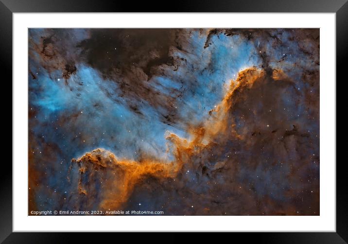 Cygnus Wall Framed Mounted Print by Emil Andronic