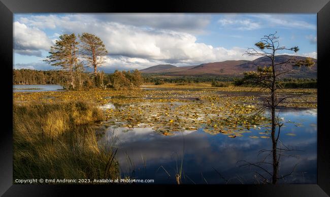 Loch Mallachie Framed Print by Emil Andronic