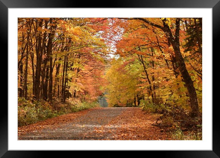 A country road in autumn Framed Mounted Print by Claude Laprise