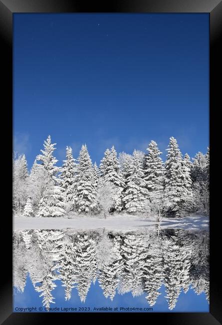 A snowy forest after the storm Framed Print by Claude Laprise