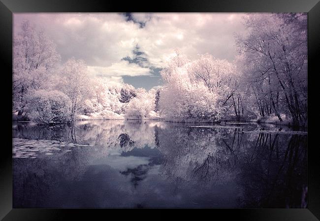 Lilac Reflections in Watermead Park Framed Print by Simon Gladwin