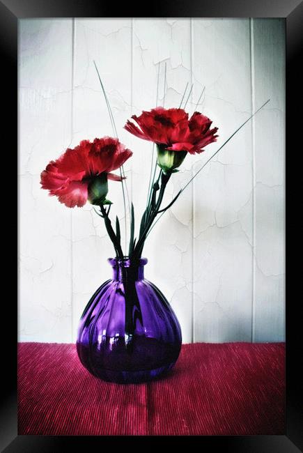 Red Flowers in Purple Vase Framed Print by Simon Gladwin