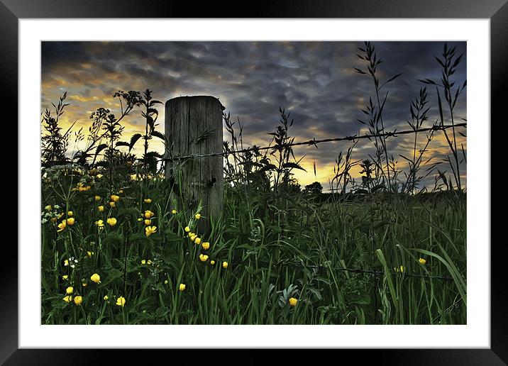 Steadfast Against The Night Framed Mounted Print by Simon Gladwin