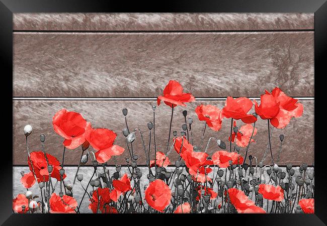 Red Urban Poppies Framed Print by Simon Gladwin