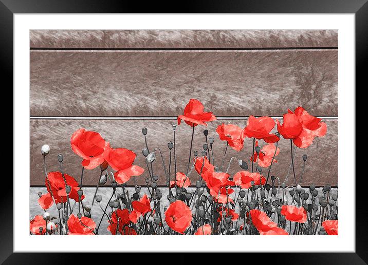 Red Urban Poppies Framed Mounted Print by Simon Gladwin