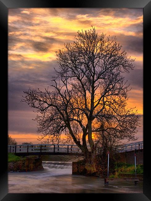 The Tree on the Weir Framed Print by Simon Gladwin