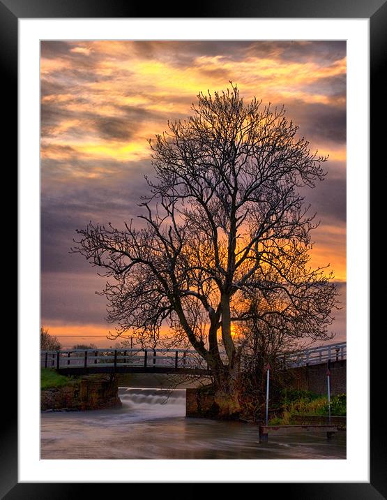 The Tree on the Weir Framed Mounted Print by Simon Gladwin