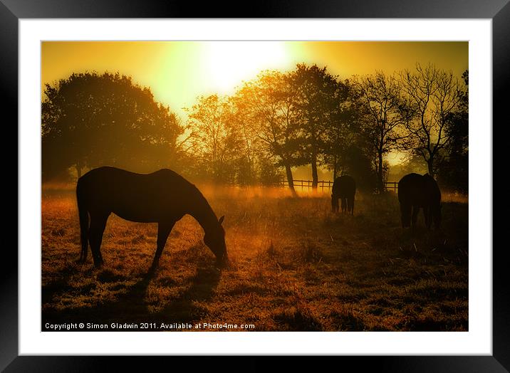 The Golden Paddock Framed Mounted Print by Simon Gladwin