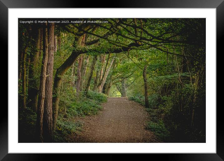 Forest walks Framed Mounted Print by Martin Newman