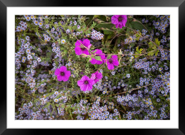 Wildflower Garden Framed Mounted Print by Martin Newman