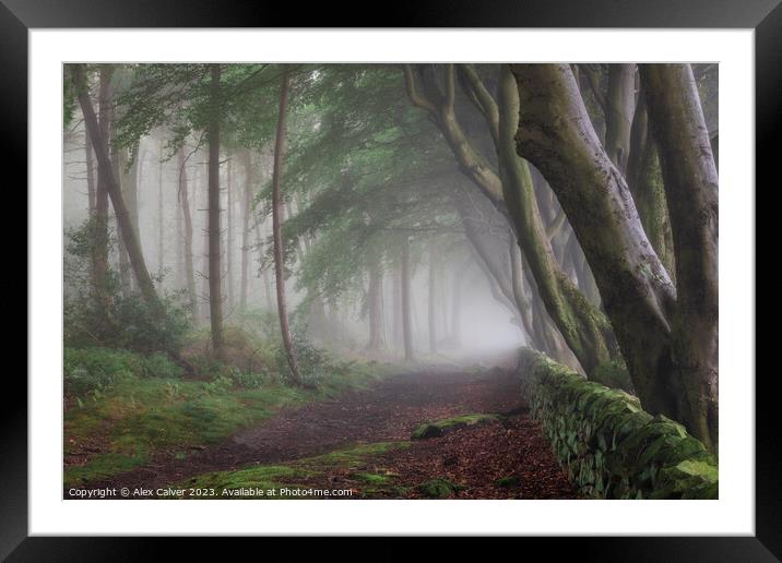 Misty Tree Tunnel Framed Mounted Print by Alex Calver