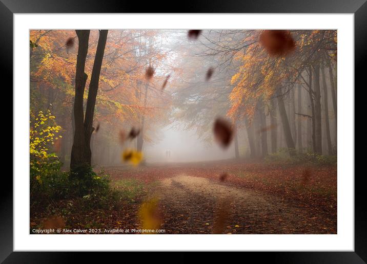 Leaves Fall Framed Mounted Print by Alex Calver