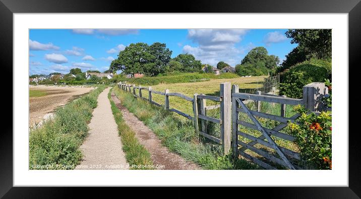 Emsworth Coastal Path  Framed Mounted Print by David Jones