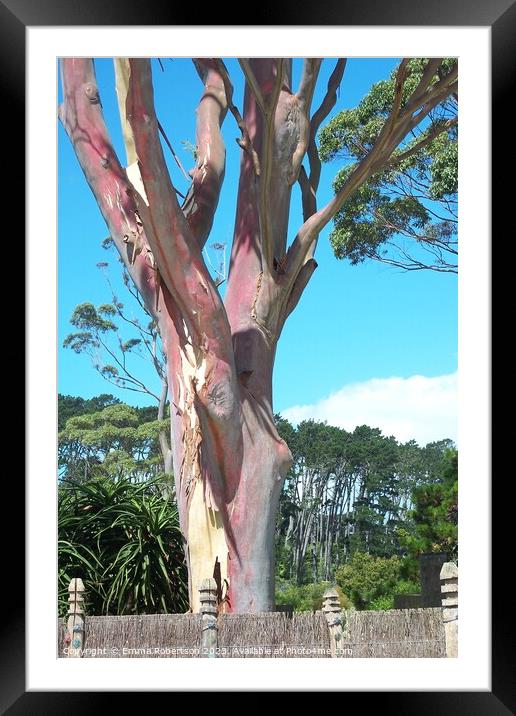 Pink Tree, New Zealand Framed Mounted Print by Emma Robertson