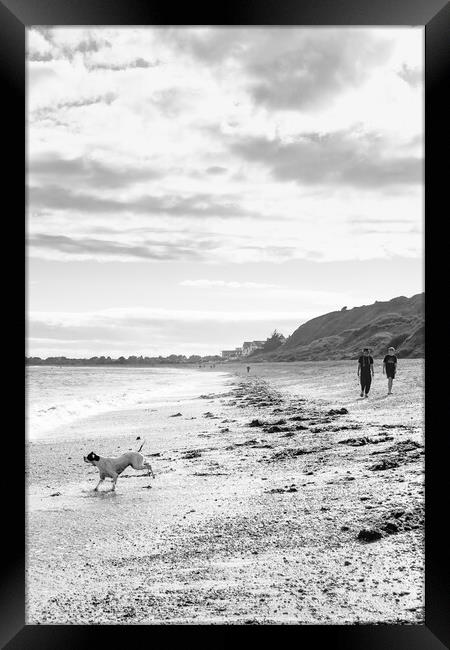 Walking on a beach  Framed Print by Michelle Quinton