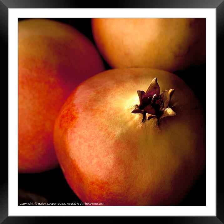 Pomegranates Framed Mounted Print by Bailey Cooper