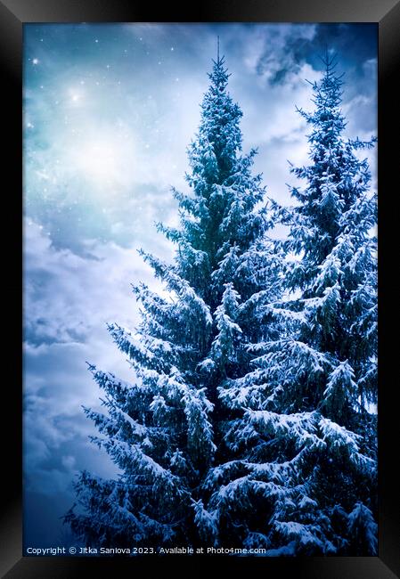 Romantic winter trees Framed Print by Jitka Saniova
