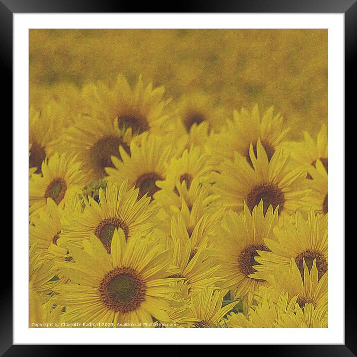 Sun-Kissed Sunflower Landscape Framed Mounted Print by Charlotte Radford