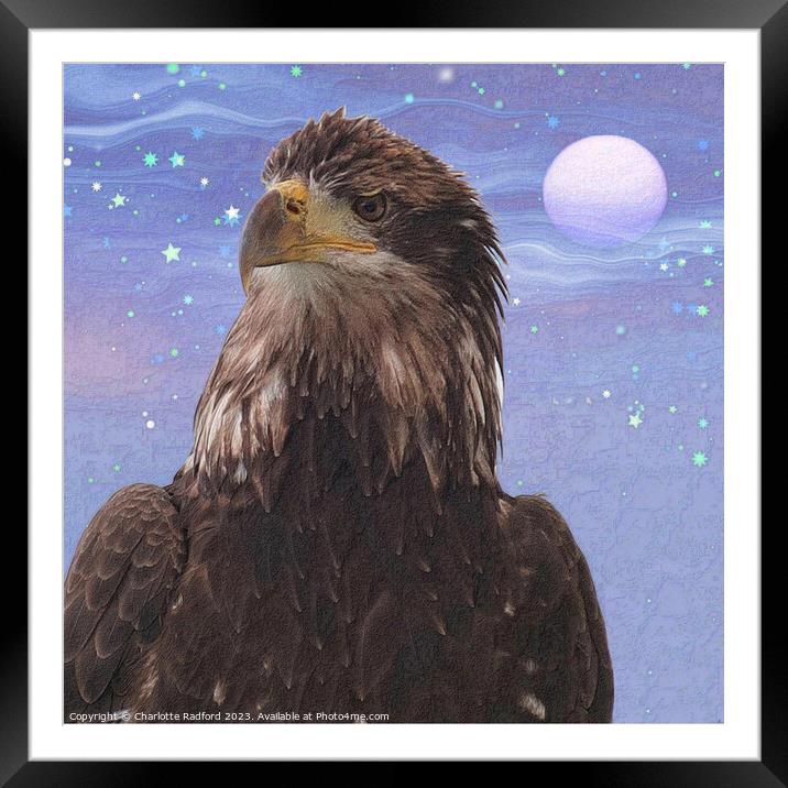 Lunar Illumination: Eagle's Night Watch Framed Mounted Print by Charlotte Radford