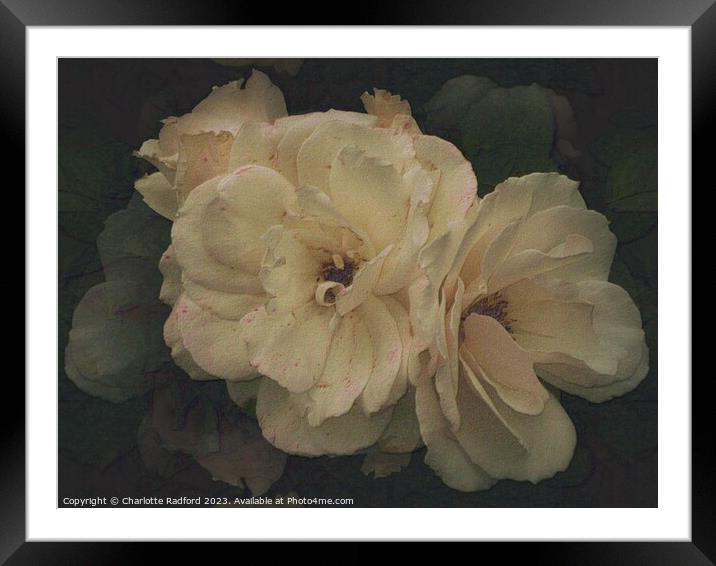 Heavenly Roses Framed Mounted Print by Charlotte Radford