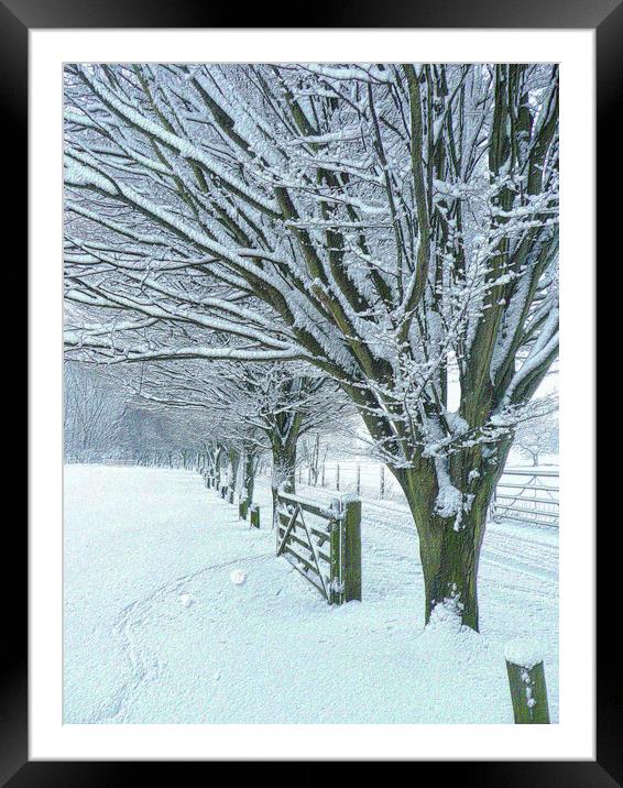 Country Lane in Winter  Framed Mounted Print by Charlotte Radford