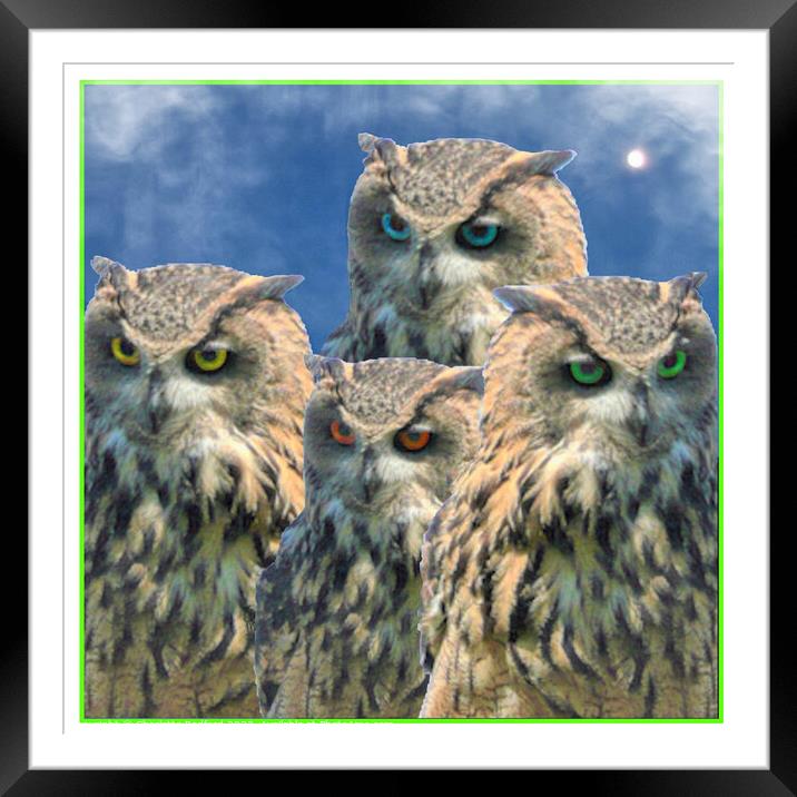The Watching Owls Framed Mounted Print by Charlotte Radford