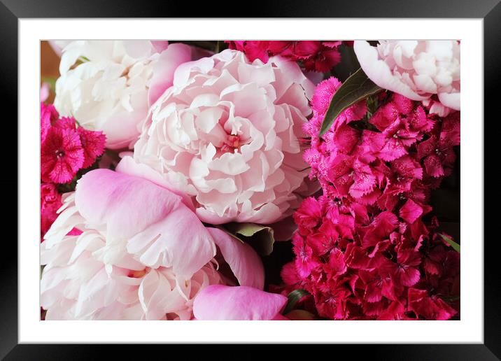 Beautiful summer flowers. Bouquet of pink peony and William background. Framed Mounted Print by Virginija Vaidakaviciene