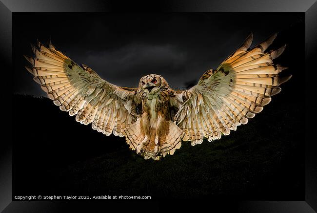 Halloween Owl  Framed Print by Stephen Taylor