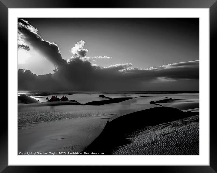 Maspalomas Camels Framed Mounted Print by Stephen Taylor