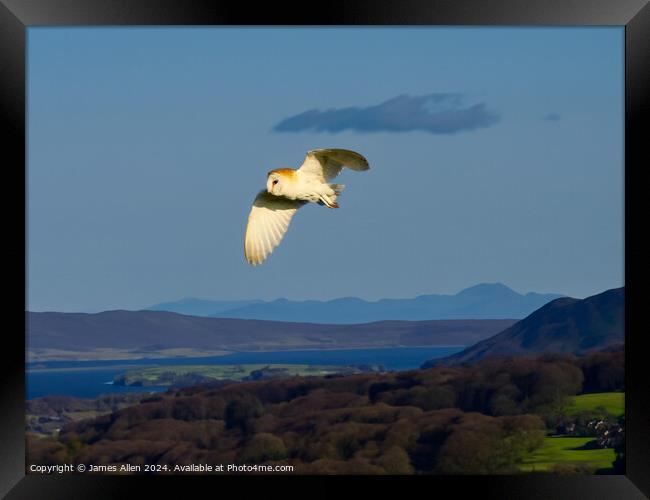 Barn Owl hunting over the Beautiful Lake District National Park Framed Print by James Allen
