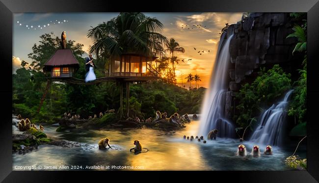Marriage In The Amazon Jungle  Framed Print by James Allen