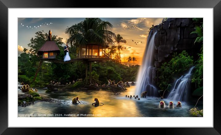 Marriage In The Amazon Jungle  Framed Mounted Print by James Allen