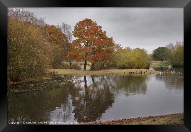 Autumn Colours - Mitcham Common Framed Print by Stephen Noulton