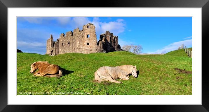 Guardians of Brough Castle, Cumbria Framed Mounted Print by Sandie 